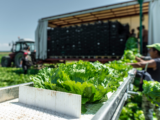 Agricultural industry